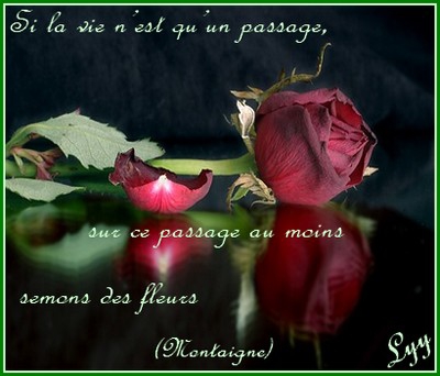 proverbes - photo 2