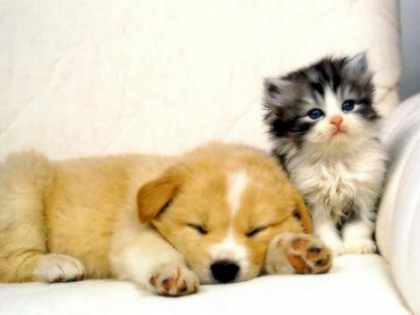 photo trop mimi