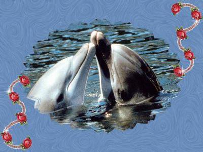 mon portrait - photo 2