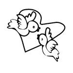 je suis canon - photo 3