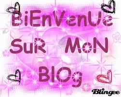bienvenue! - photo 3