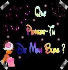 q'on penser vous de mon blog??? - photo 2