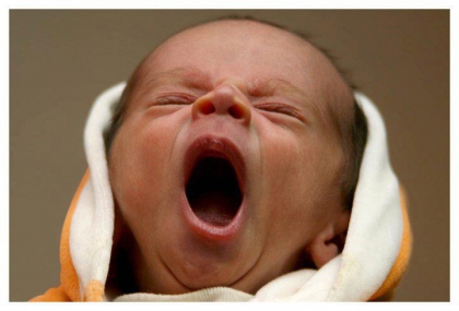 Trop mignon !!!!!!!!!!!