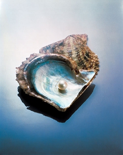 pour sduire - photo 3