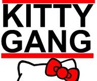 C'est mon Kitty Gang - photo 3