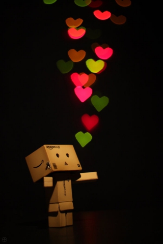 Danbo ❤