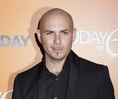 armando Prez Cristian (pitbull)