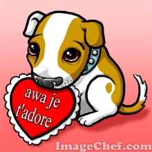 coucou les filles - photo 2