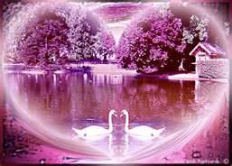 les photo d amour - photo 2