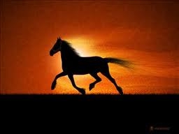 Comment se faire mal