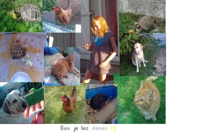 Eux, je les Aimes x3