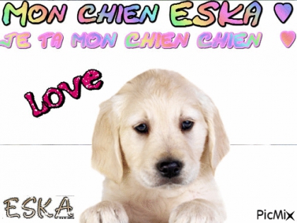 Mon Chien ESKA