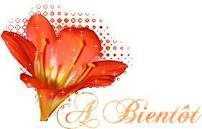 les pédofiles de facebook