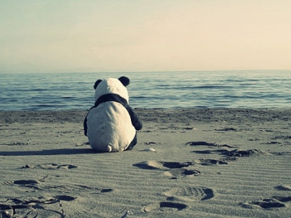  Le racisme n'est pas une opinion, c'est un dlit. 