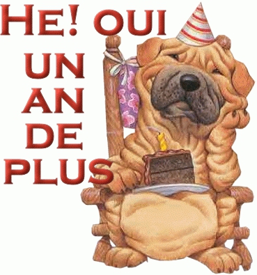 Aujourd'hui c'est mon ANNIVERSAIRE! 