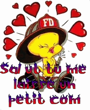 LAISSER MOI DES COMMENTER STP