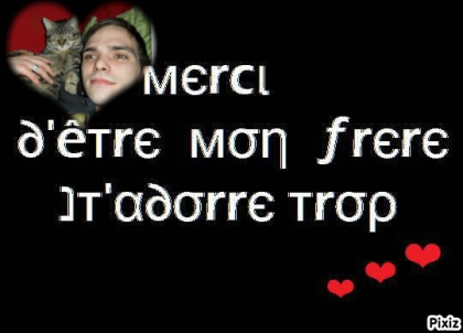 mon beau frre - photo 2