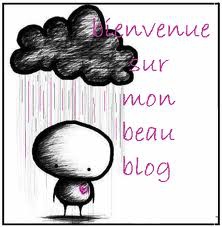 Bienvenu A Mon Blog - photo 3