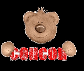 des immages - photo 3