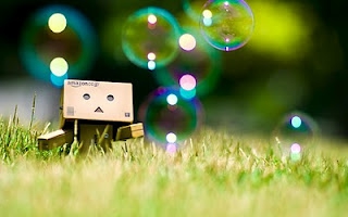 Danbo - photo 2