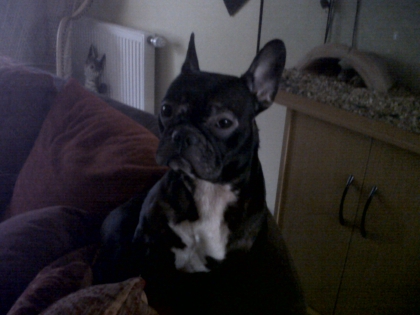 moi ma chienne et mon ptit couz  - photo 2