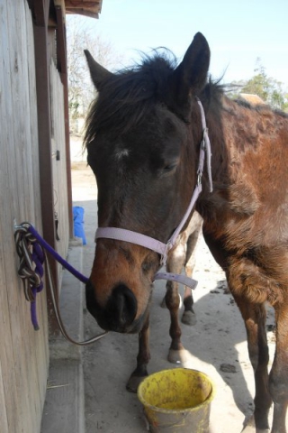 My Baby !!!!! - photo 3