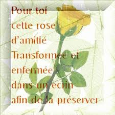 Oh Meilleurs Amies Du Monde 