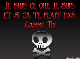 Je vous emmerdes... - photo 2