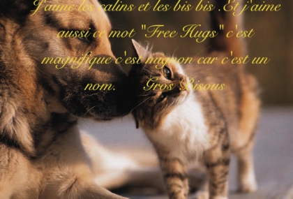 Concour de Free Hugs!