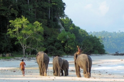 Photos ♥ - photo 2