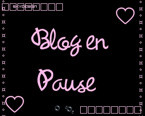 Blog en pause 