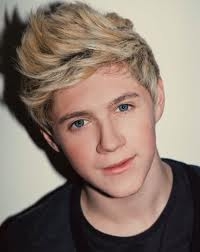 Fiche descriptive de Niall - photo 2