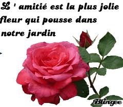 Salut je me presente