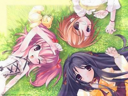 Les mangas - photo 2