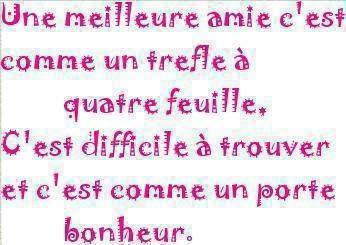 image texte et questionnaire - photo 2