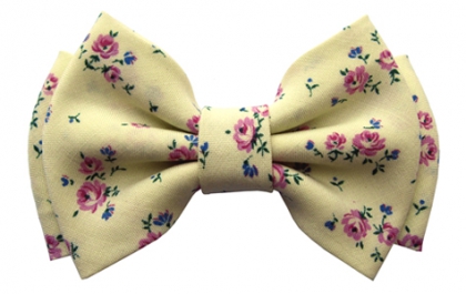 Un petit noeud dans mes Papillon