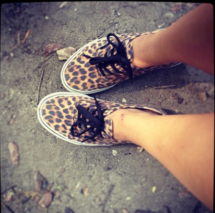 Vans lopard.