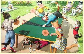 article sur le sport:quelle  est ton sport favourite? - photo 2