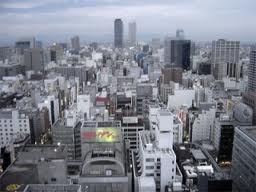 article sur la nature:ville ou campagne? - photo 3