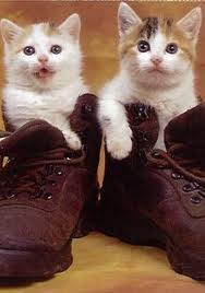 fond de rire !!! - photo 3