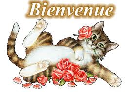 bienvenue  - photo 2