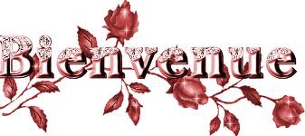 bienvenue  - photo 3