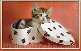 Nois encore pour toi