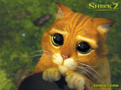le chat de shrek2