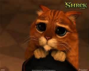 regarder la deffirence  - photo 2