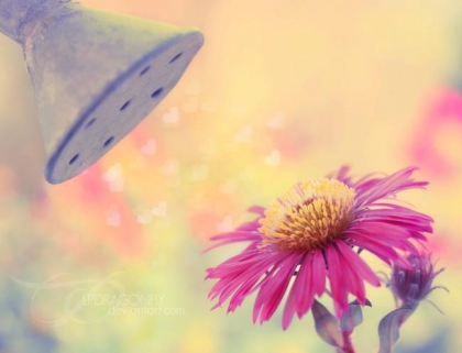 ma vie et mais amie de site