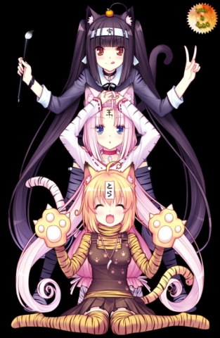 Je nabandonnerai jamais - photo 2