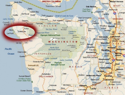 Fascination, Twilight ch1 - photo 2