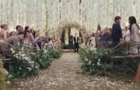 Révélation - Twilight ch 4 (partie1 ) - photo 2