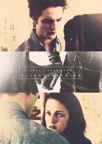 Twilight ♥ *-*  - photo 3